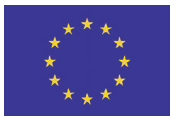 DRAPEAU EUROPEEN [Taille: 75cm * 50cm]