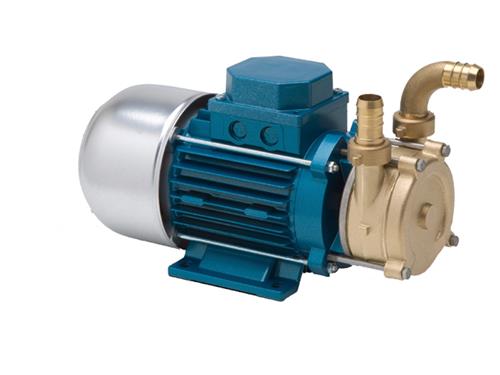 POMPE TELLARINI ECC20 [Voltage: 12 V]