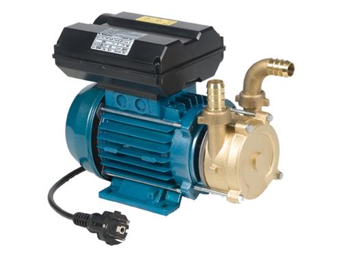 DIESEL PUMP EEM20 220V AUTO