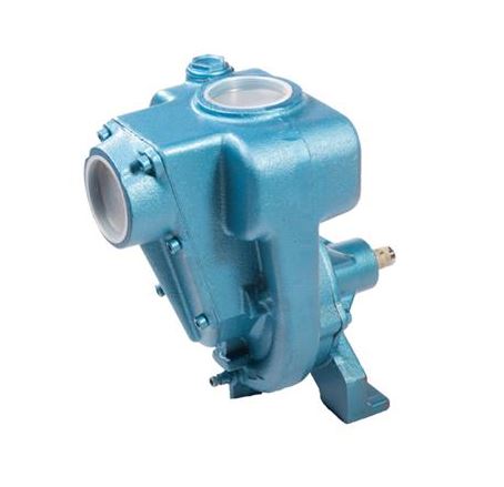 ALPHA 02RA-2 pump 2&quot; connection