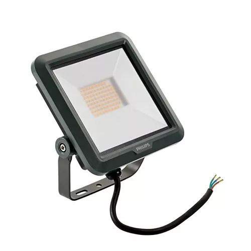 PROJECTEUR LED 45W 220V  PHILIPS