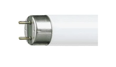 TUBE NÉON  6W 212MM