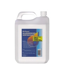 [51.49.005] NETTOYANT B - CLEAN PEINTURE / ET AUTRES